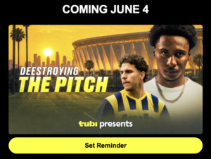Deestroying_the_Pitch
